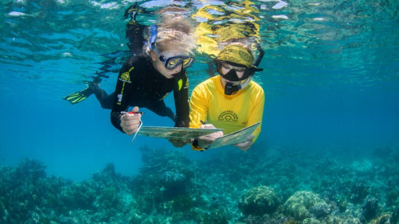 Four Australian cruise firms join Ecotourism Hall of Fame
